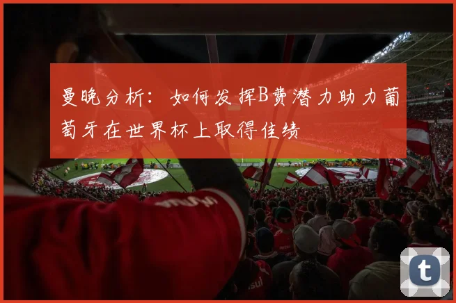 曼晚分析：如何发挥B费潜力助力葡萄牙在世界杯上取得佳绩