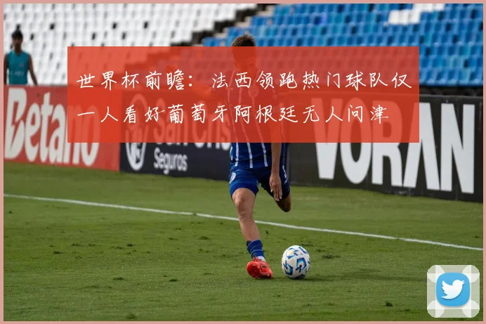 世界杯前瞻：法西领跑热门球队仅一人看好葡萄牙阿根廷无人问津