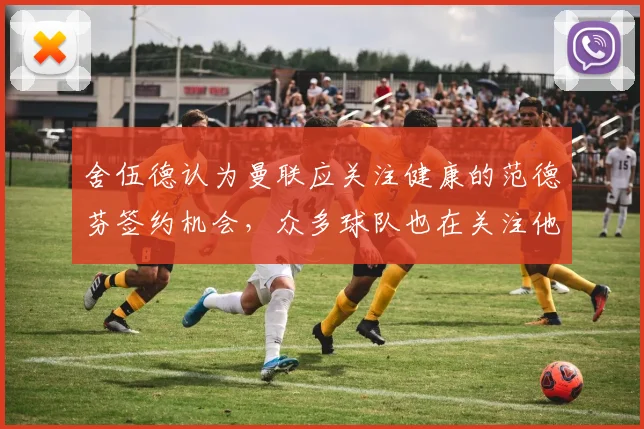舍伍德认为曼联应关注健康的范德芬签约机会，众多球队也在关注他