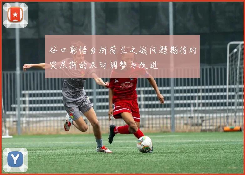 谷口彰悟分析荷兰之战问题期待对突尼斯的及时调整与改进